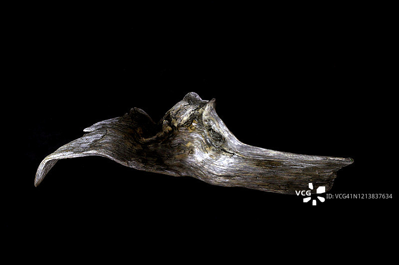 黑色背景旧浮木木材纹理特写图片素材