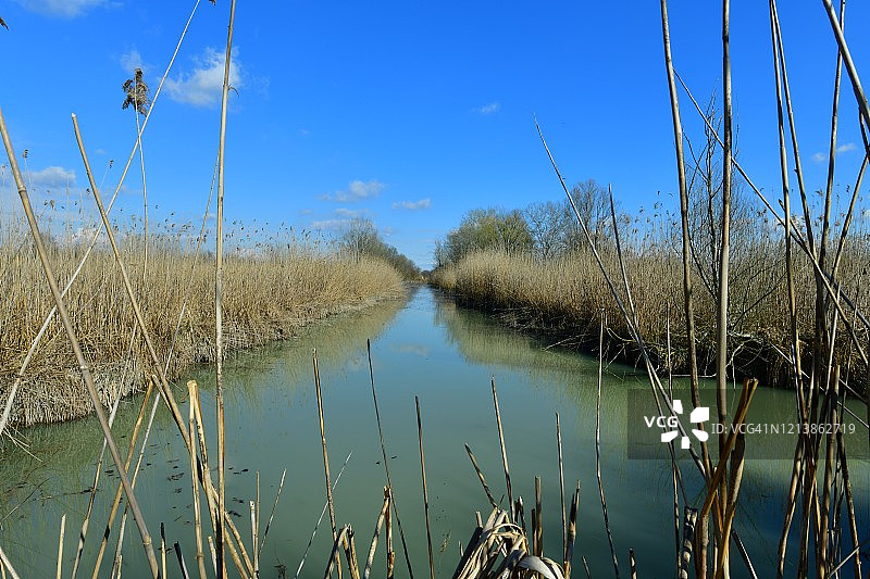 波河平原的野生沼泽景色图片素材