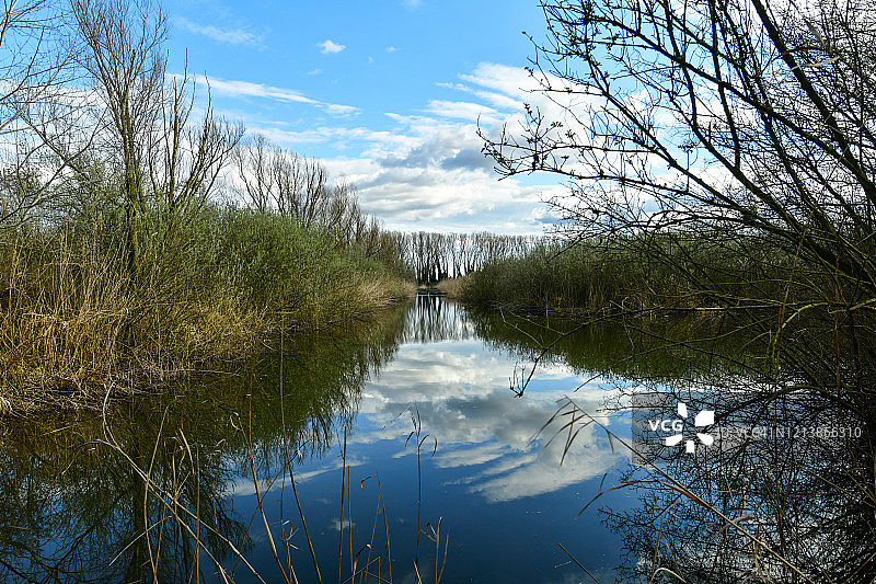 波河平原的野生沼泽景色图片素材
