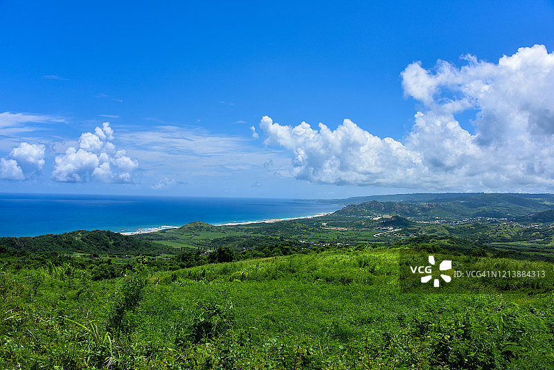 樱桃树山保护区图片素材