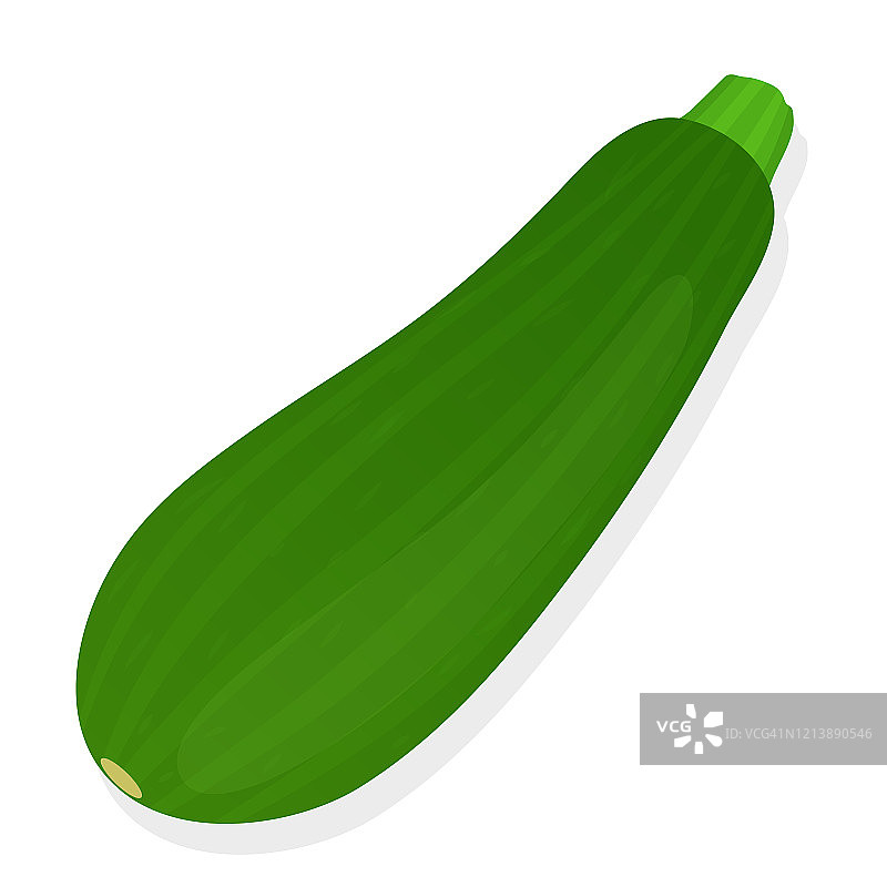 白色背景上的西葫芦蔬菜矢量图图片素材