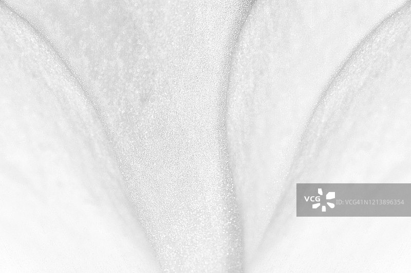 抽象的背景图片素材