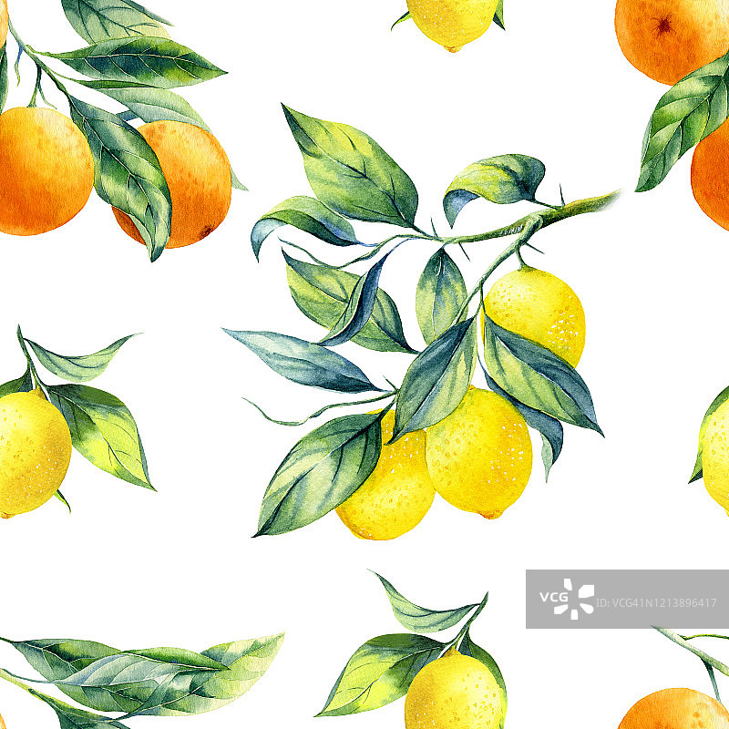 柠檬和橙子图片素材