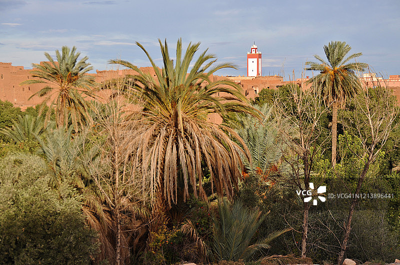 廷吉尔棕榈绿洲图片素材