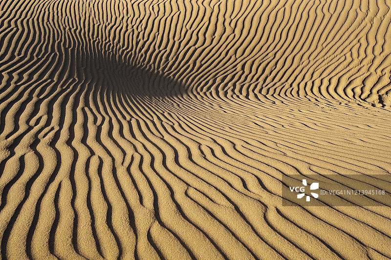 尼波莫沙丘图片素材