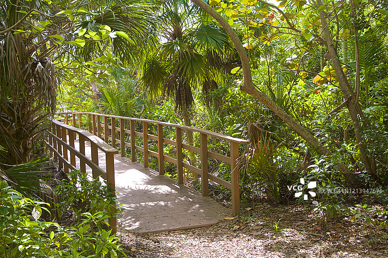 迪尔菲尔德海滩迪尔菲尔德岛公园的木板路图片素材