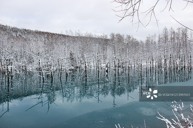 美瑛町初冬的蓝色池塘图片素材