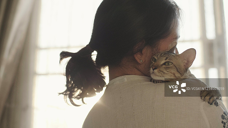 小猫在一位抚摸它的女士怀里放松图片素材