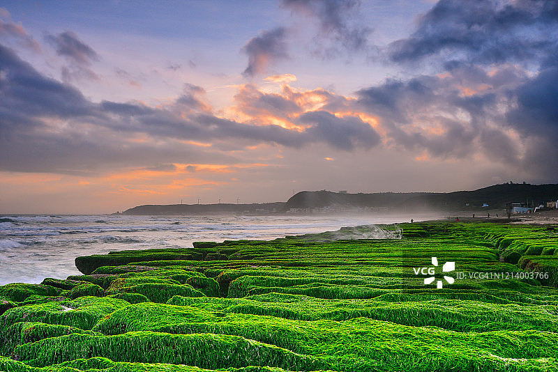 绿色珊瑚礁图片素材