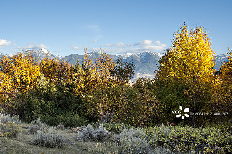 蒙大拿州天堂谷的秋色图片素材