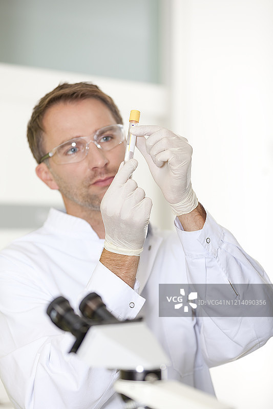 科学家在实验室中检查试管图片素材