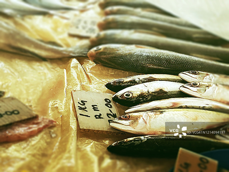 市场上的鱼图片素材