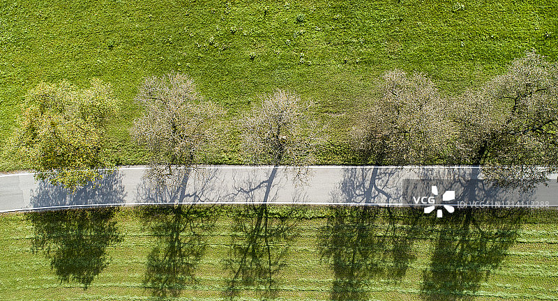 乡间公路旁的树木航拍，有阴影图片素材