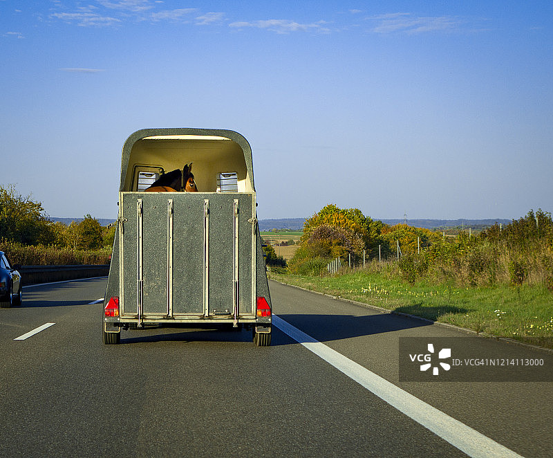 高速公路上的运马拖车图片素材