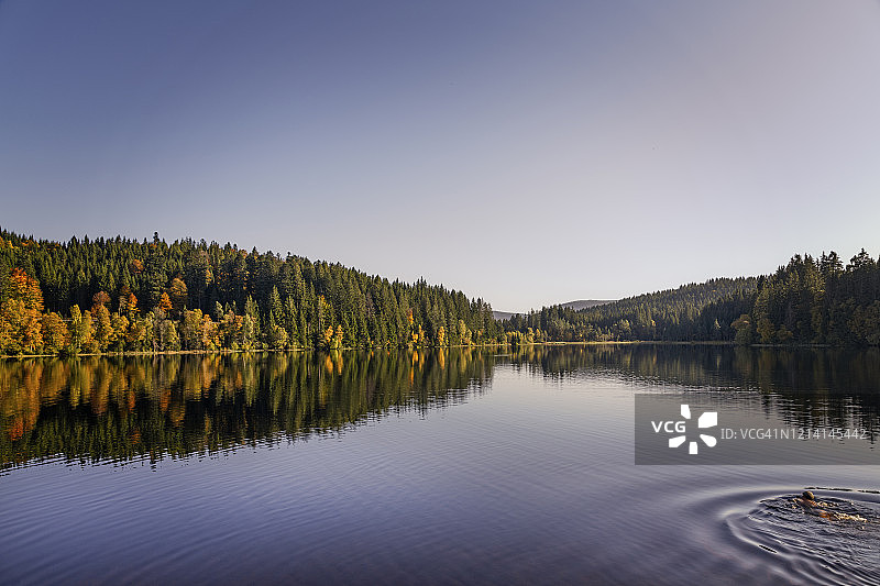 在小湖里游泳的人图片素材