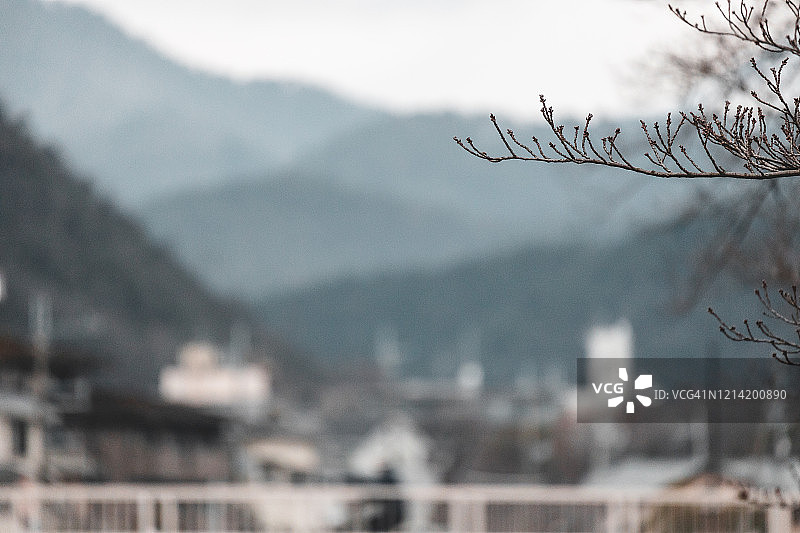 京都鸭川图片素材