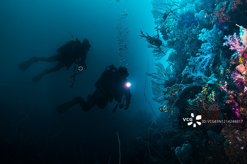 潜水员勘测海洋生物图片素材