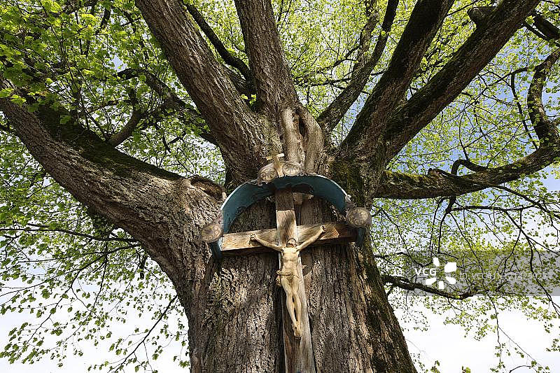菩提树下的道路，德国巴伐利亚州图片素材