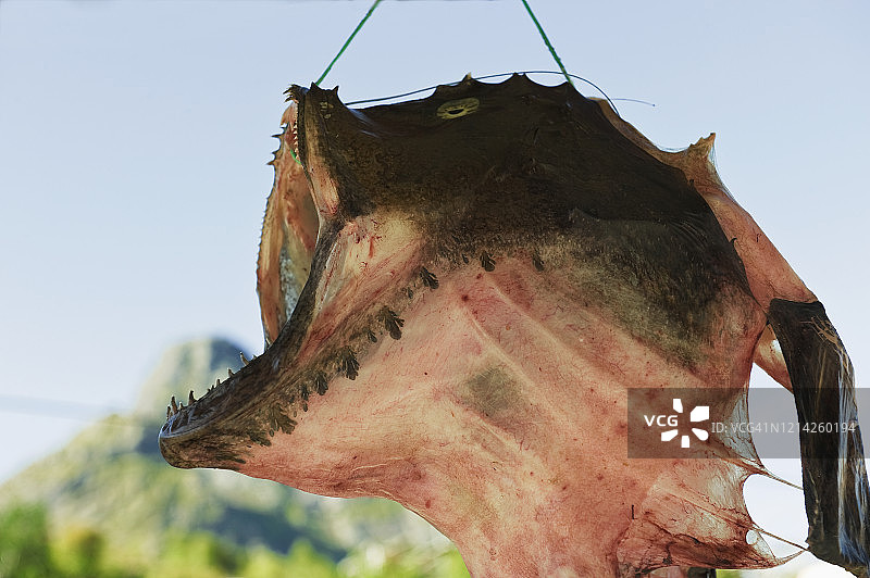 鳕鱼干，鳕鱼头，罗弗敦群岛，挪威图片素材