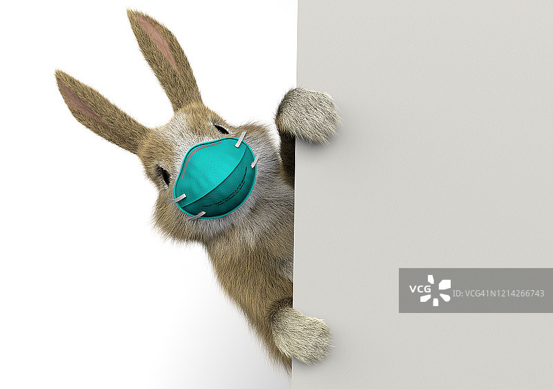 戴着口罩躲在墙或banner后的兔子宝宝图片素材