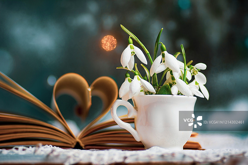 明亮窗边玻璃杯中的雪滴花图片素材