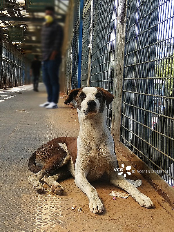 新型冠状病毒肺炎图片素材