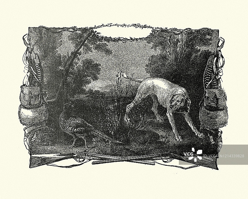 维多利亚时期19世纪狩猎场景：猎狗和野鸡图片素材