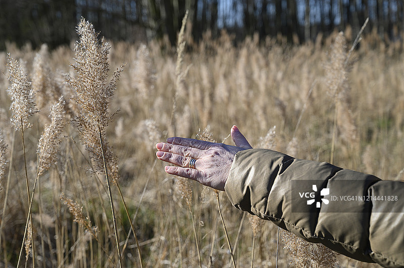 女子在德国享受春天的自然风光，感受自由图片素材