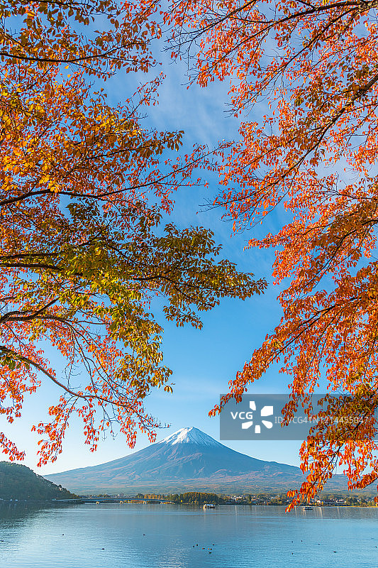 秋季河口湖的富士山图片素材