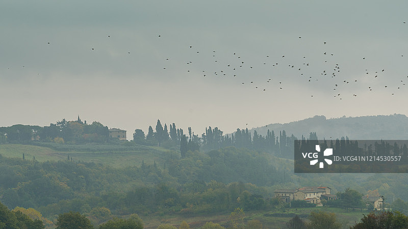 托斯卡纳乡村的雾蒙蒙的早晨图片素材