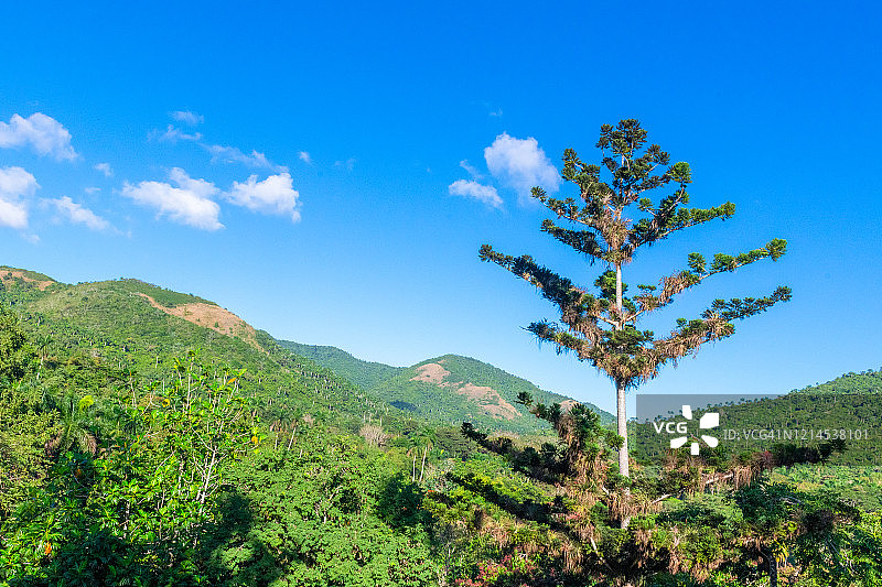 古巴索罗阿的绿色植被和蓝天图片素材