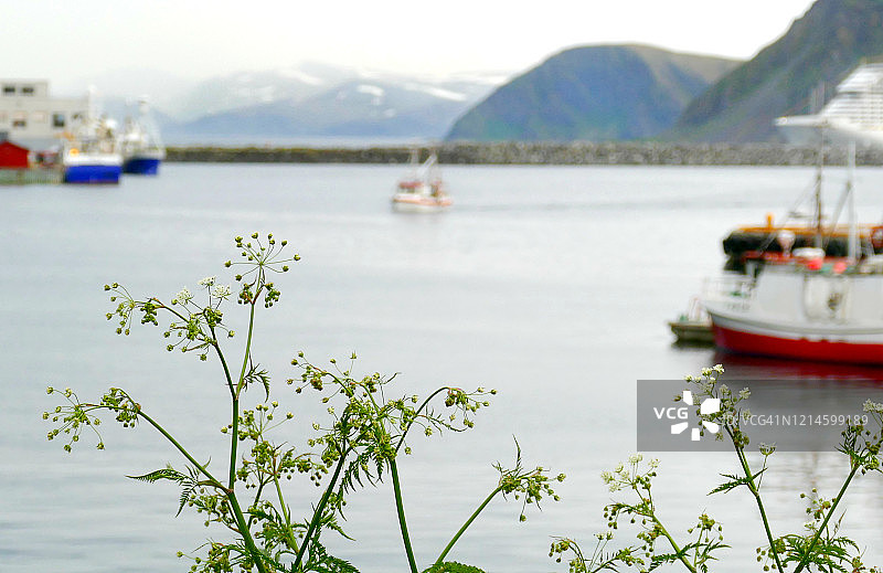 挪威洪宁斯沃格的港口图片素材