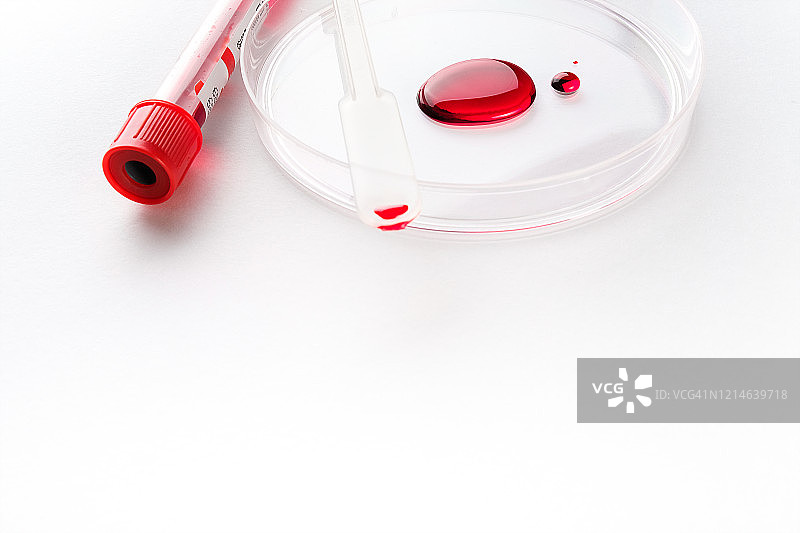 玻璃培养皿中的一滴血，用于研究的医学样本试管图片素材