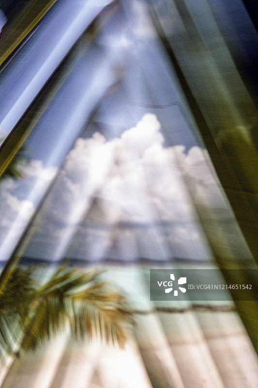 马尔代夫椰子树图片素材