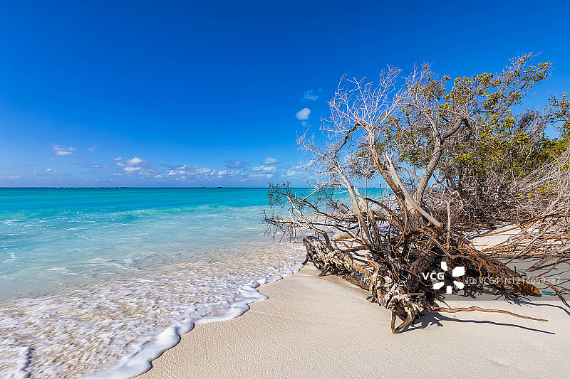 海滩 - 古巴 - 卡约拉戈图片素材