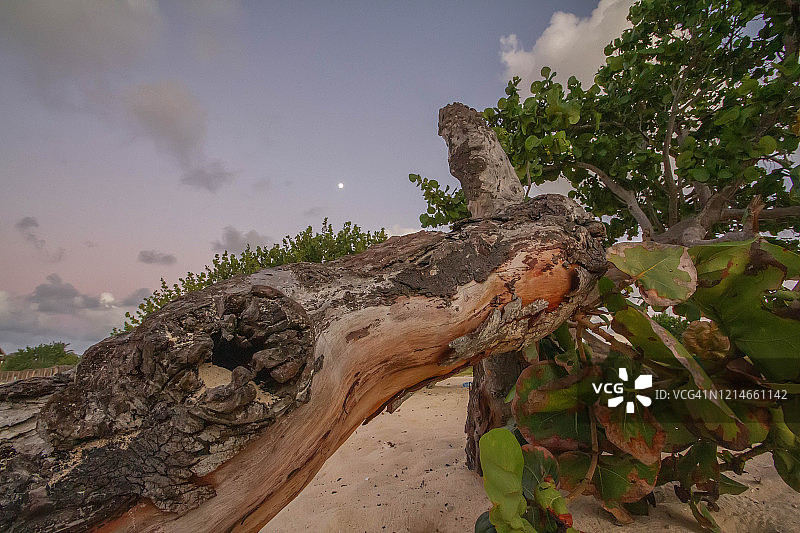 古巴海滩图片素材