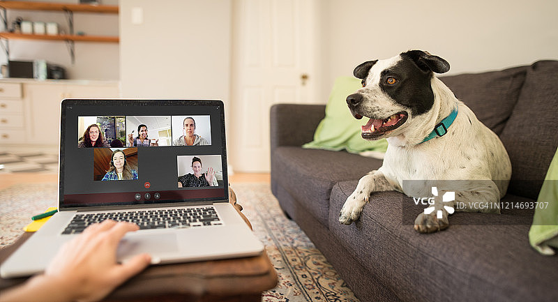 视频聊天让社交隔离更轻松图片素材