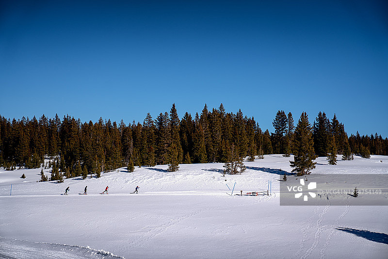 一群采用经典越野滑雪风格的滑雪者图片素材