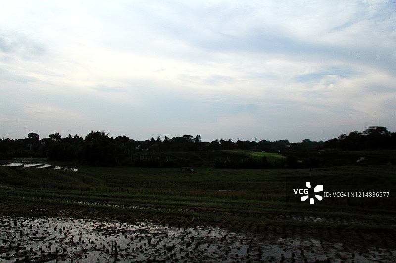 山脉中的稻田景观图片素材