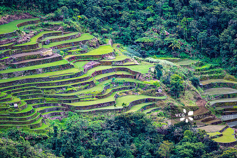 菲律宾伊富高省的巴达德梯田图片素材