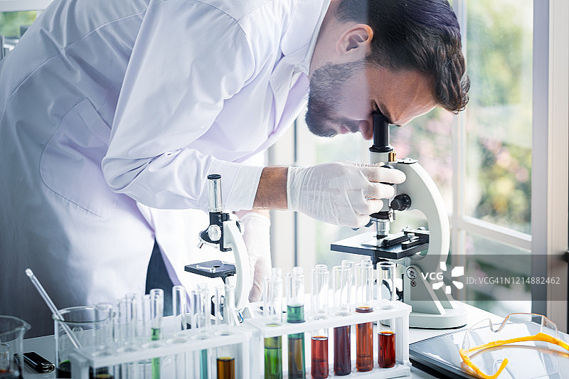 科学家在实验室用显微镜工作图片素材