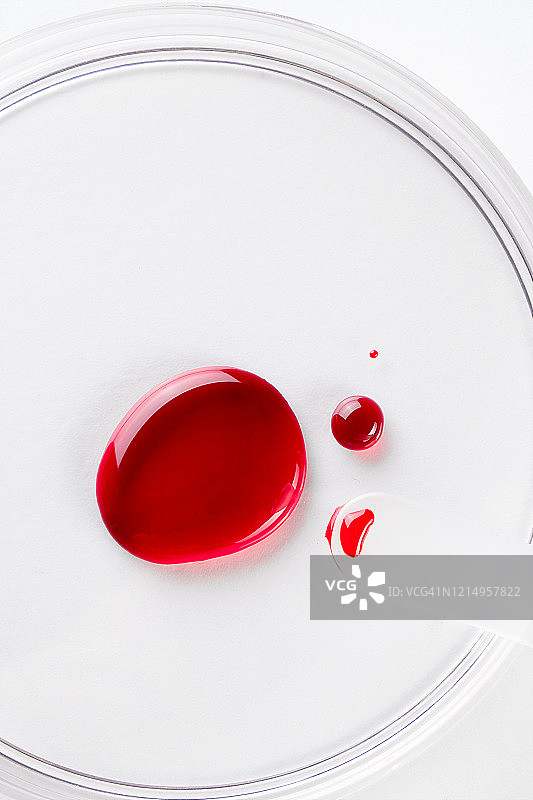 玻璃培养皿里的一滴血图片素材