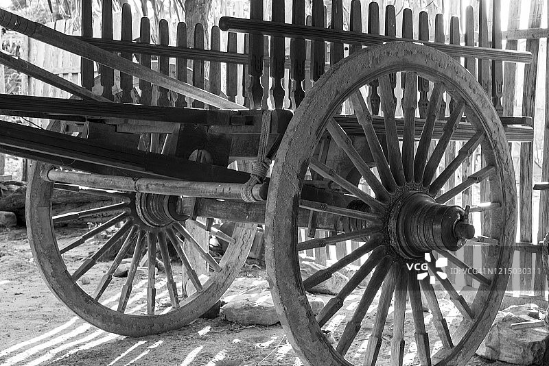 缅甸蒲甘的牛车图片素材