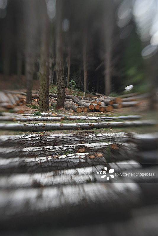 森林砍伐图片素材