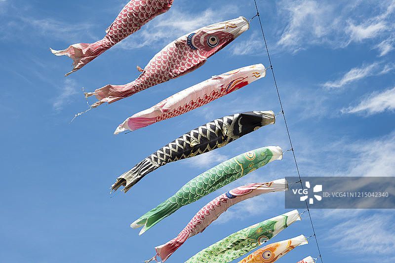 蓝天下的鲤鱼旗图片素材