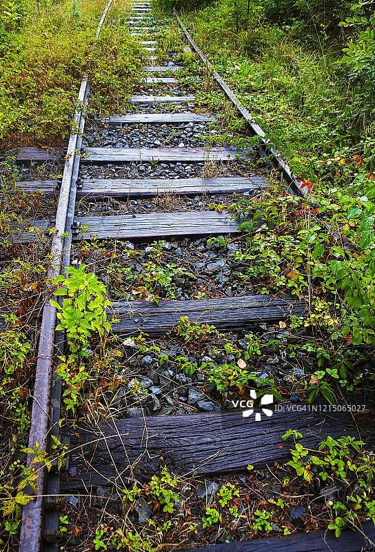奥地利施蒂利亚废弃铁轨上的植被图片素材