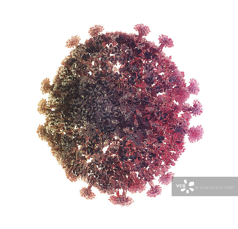 冠状病毒颗粒插图图片素材