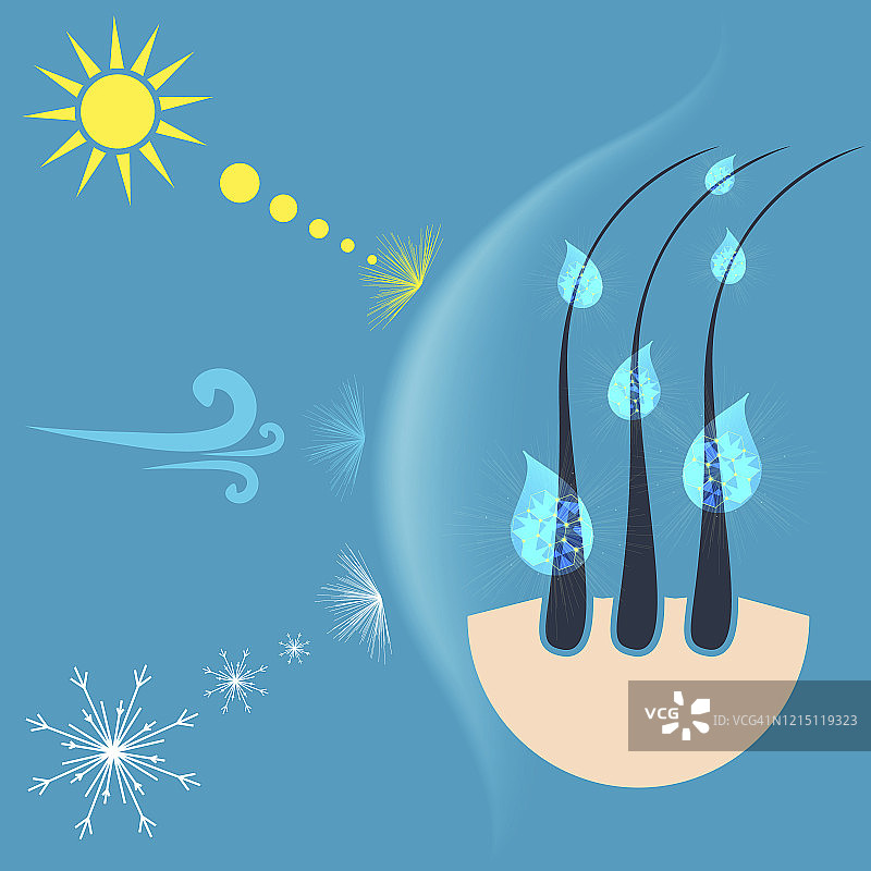 头发护理概念图图片素材