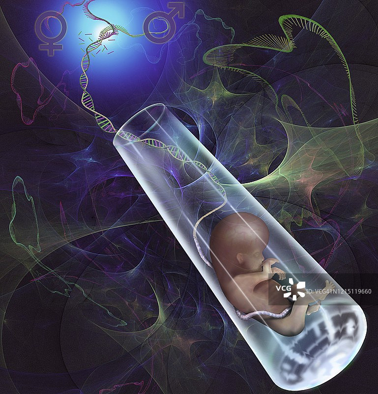 试管婴儿概念插图图片素材