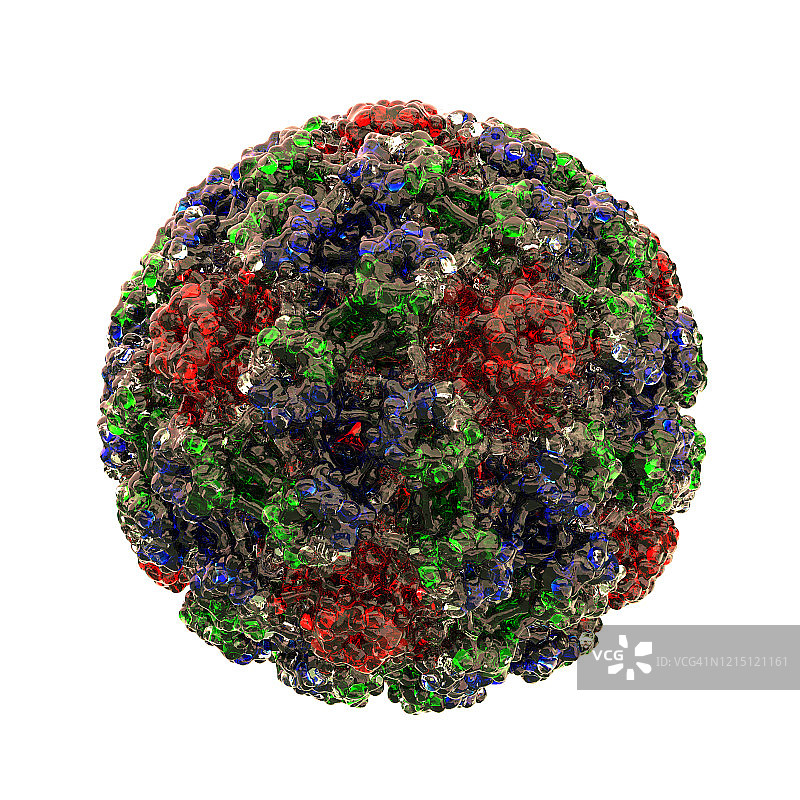 人乳头瘤病毒插图图片素材